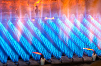 Alderney gas fired boilers